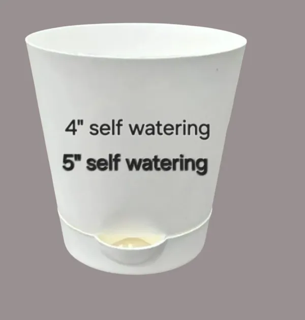 White_Self_Watering_Plant_Pot|_5Inch_Pack_Of_2