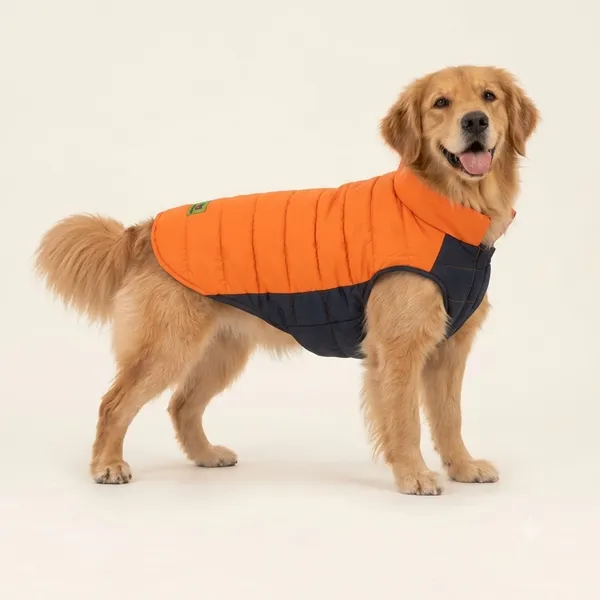 Blue_and_Orange_Panel_Puffer_Jacket