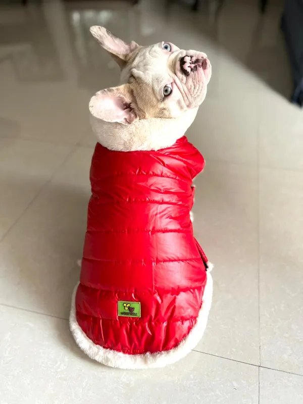 Red_Fur_Jacket