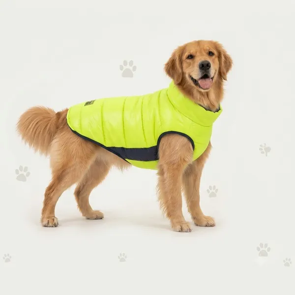 Blue_and_Neon_Green_Panel_Puffer_Jacket