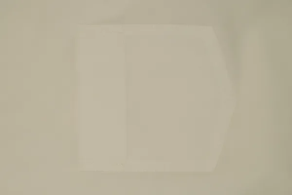White_Cotton_Regular_Fit_Button-Down_Shirt_For_Men