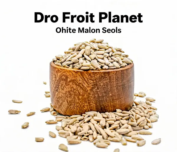 Dry_Fruit_Planet_White_Melon_Seeds