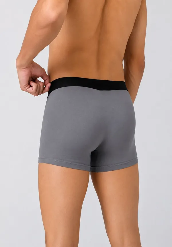 Sloxie_Men_Brief_()