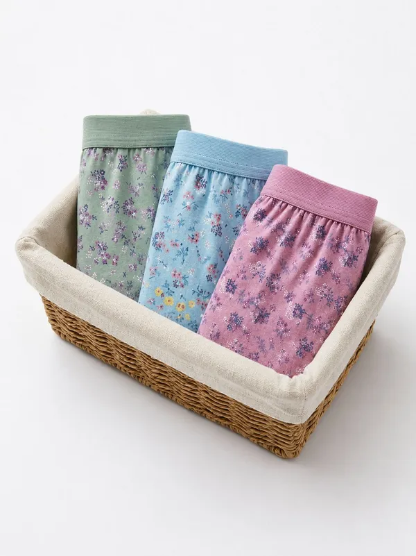 Sloxie_Women_Hipster_Multicolor_Panty_()
