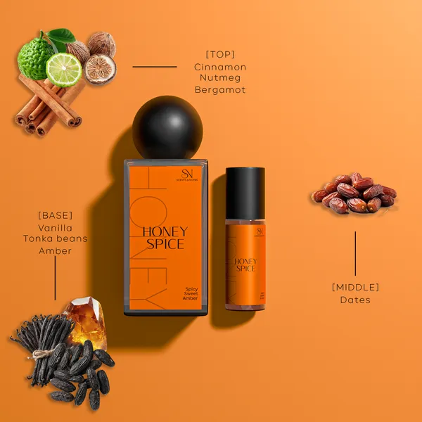 Scent_&_Notes_Alpha_Perfume_Gift_Set_for_Men_|_50ml_EDP_+_10ml_Roll_On_|_Citrus,_Aquatic_&_Spicy_Fragrance_|_Long_Lasting_Luxury_Perfume_Combo_for_Men_|_Everyday_Wear_|_Birthday_Gift_for_Men_&_Boys