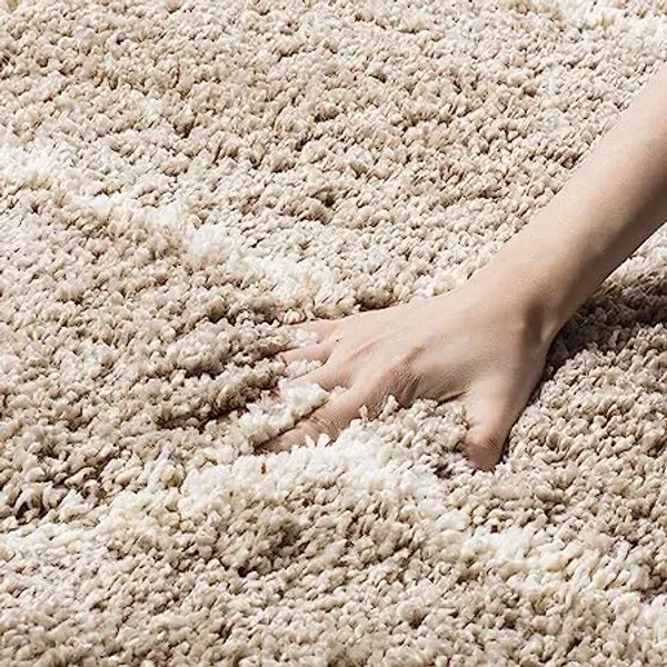 Shag_Area_Rug