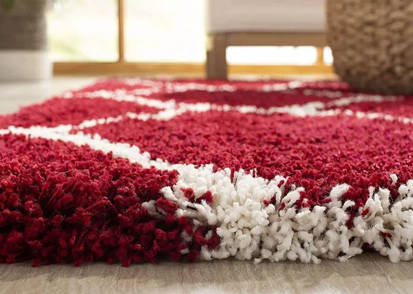 Shag_Area_Rug