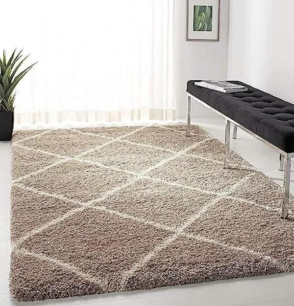 Area_Rug_for_Home_Decor
