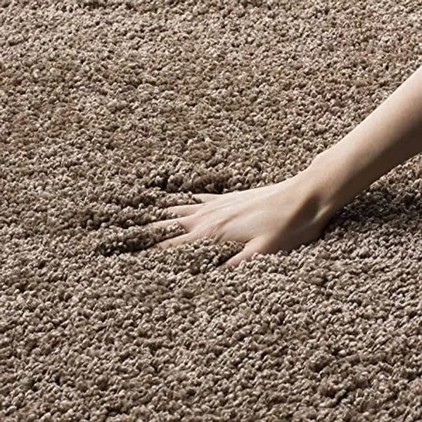 Area_Rug_for_Home_Decor