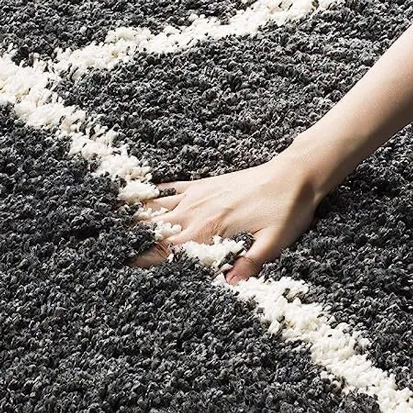 Area_Rug_for_Home_Decor