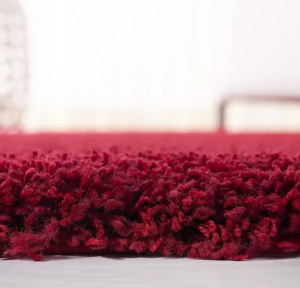 Shaggy_Carpet