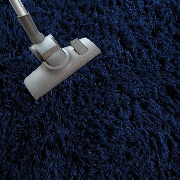 Shaggy_Carpet
