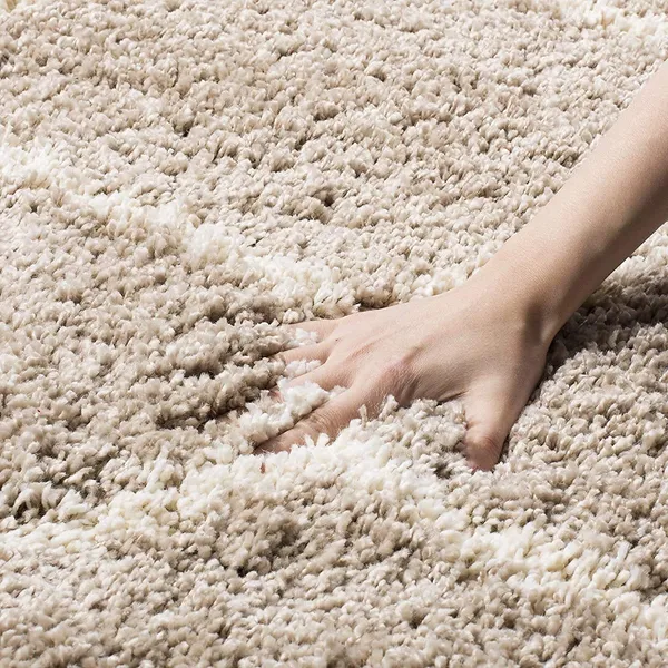 Shaggy_Rectangular_Carpet