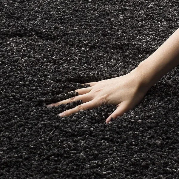 Shaggy_Carpet