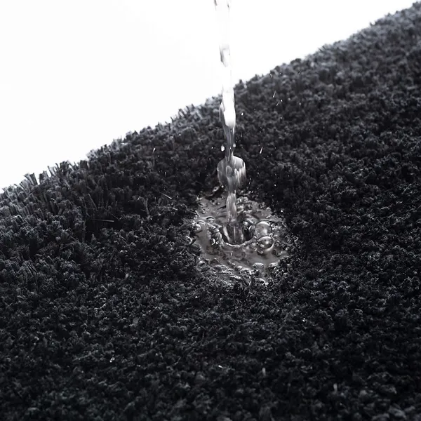 Shaggy_Carpet