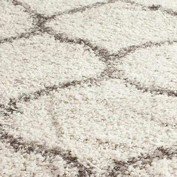 Microfiber_Shaggy_Carpet