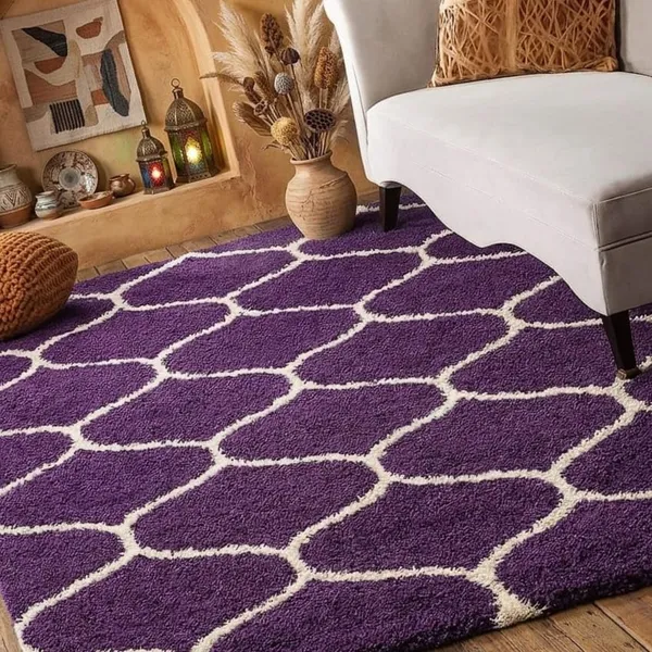 Shaggy_Area_Rug