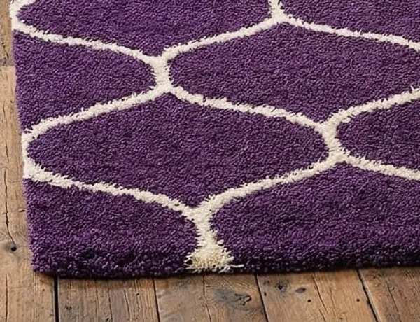 Shaggy_Area_Rug