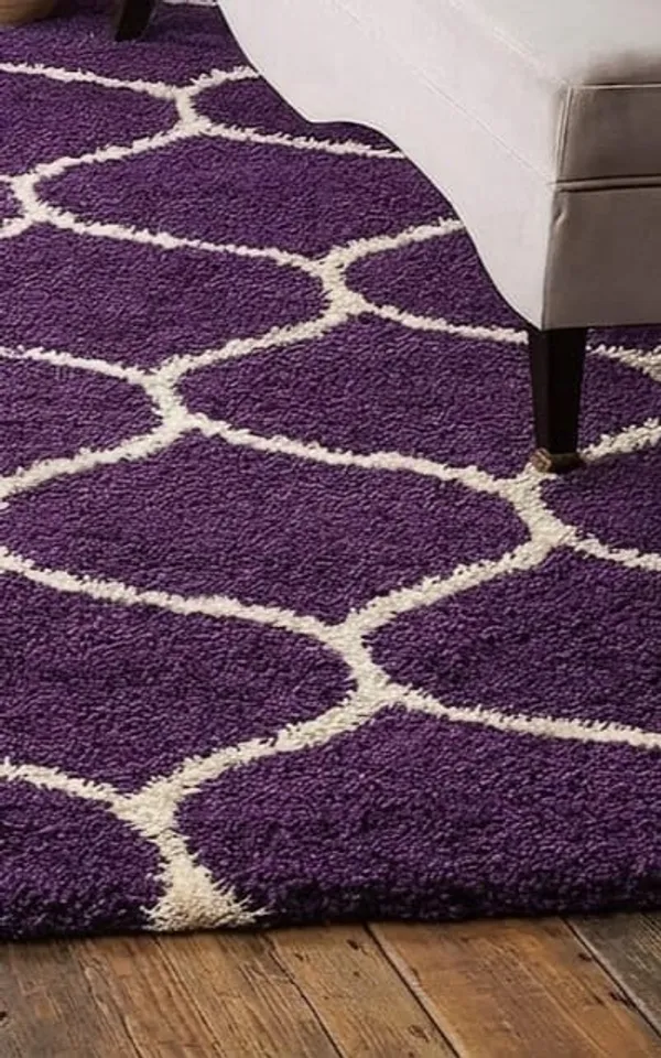 Shaggy_Area_Rug