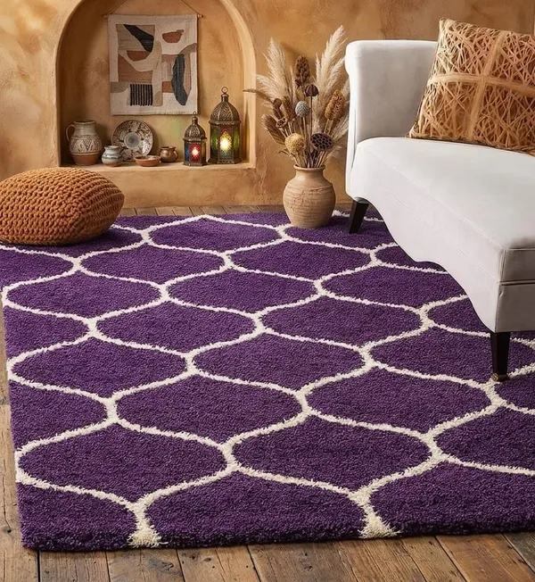 Shaggy_Area_Rug