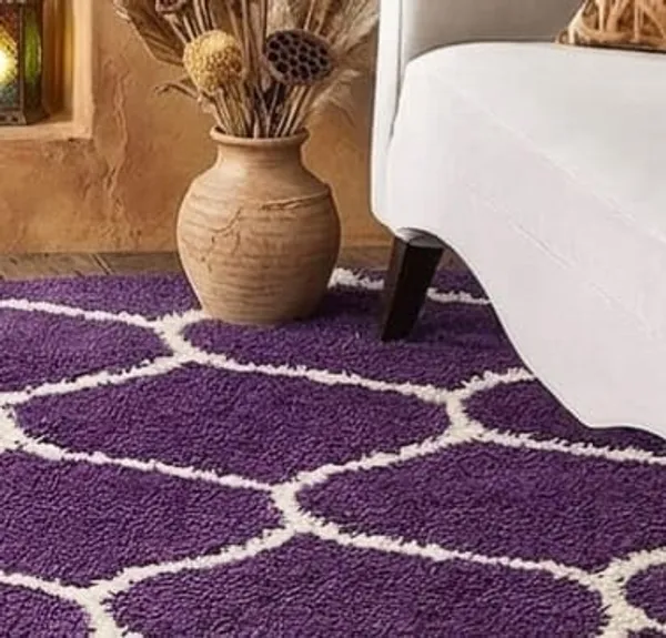 Shaggy_Area_Rug