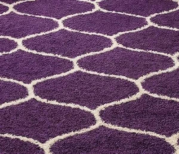 Shaggy_Area_Rug