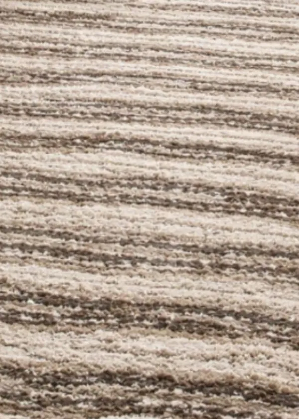 Shaggy_Area_Rug