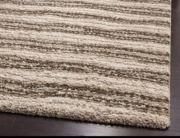 Shaggy_Area_Rug