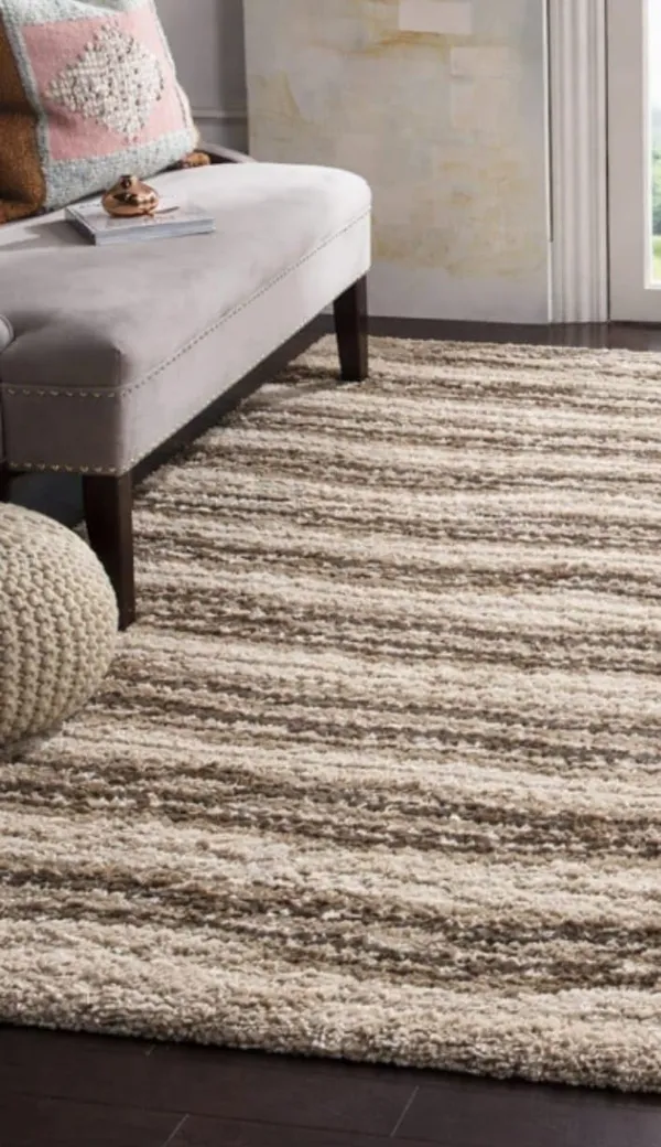 Shaggy_Area_Rug