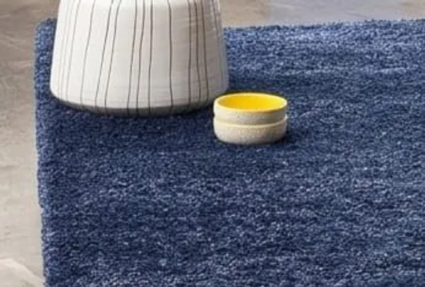 Shaggy_Area_Rug