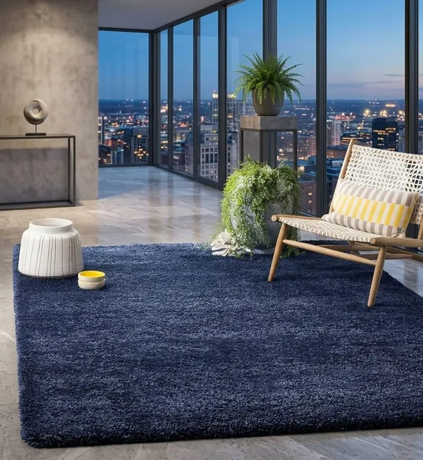 Shaggy_Area_Rug