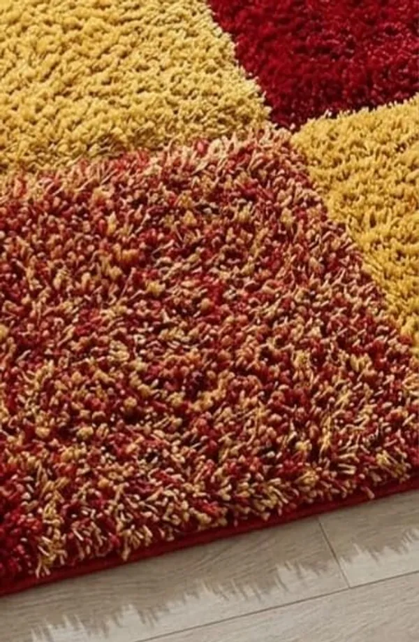 Shaggy_Carpet