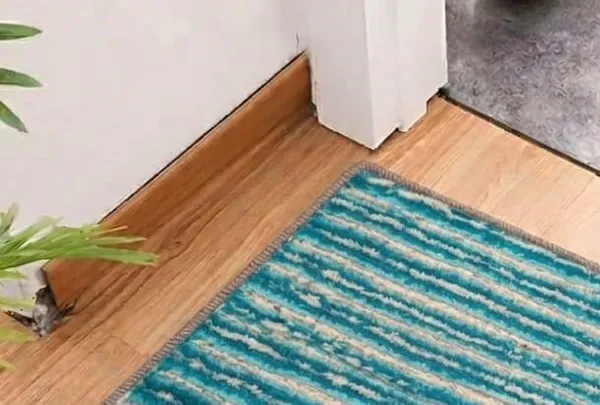 Shaggy_Floor_Mat