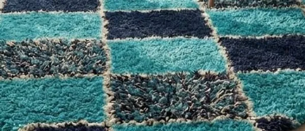 Area_Rug_for_Home_Decor