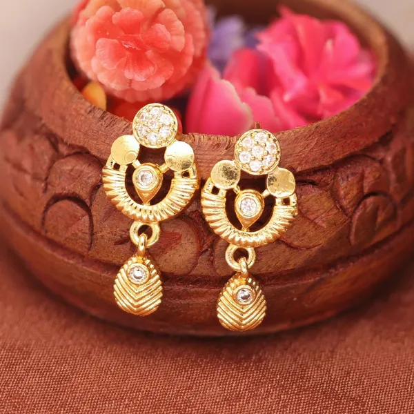 Micro_Gold_Polish_Ad_Earrings
