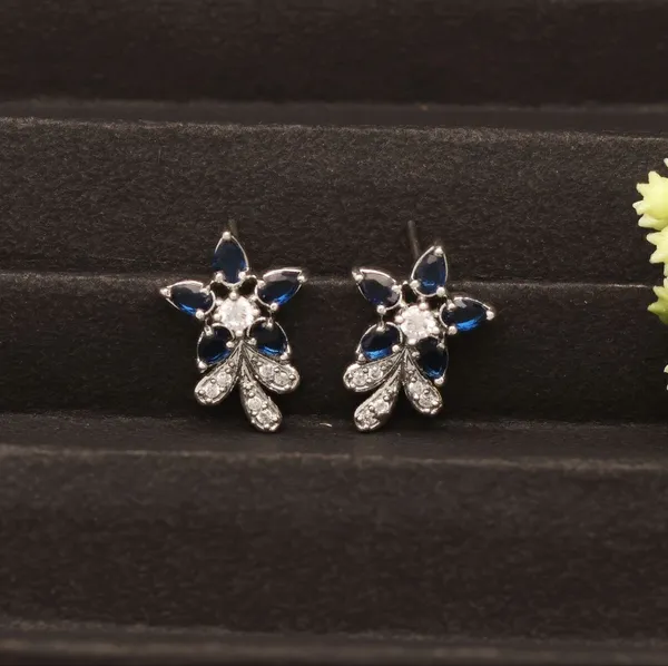 Stunning_Silver_Ad_Earring