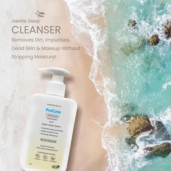 2_Niacinamide_Face_Wash_200_Ml_Gentle_Soap_Free_Cleanser_For_Oily_Sensitive_Combination_Skin_Non_Drying_Daily_Face_Wash_For_Men_Women_With_Aloe_Vera_Pro_Vitamin_B5_Glycerin