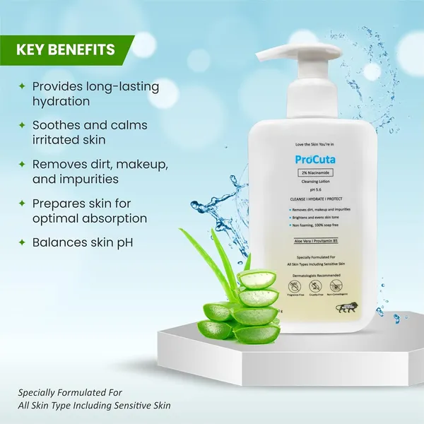 2_Niacinamide_Face_Wash_200_Ml_Gentle_Soap_Free_Cleanser_For_Oily_Sensitive_Combination_Skin_Non_Drying_Daily_Face_Wash_For_Men_Women_With_Aloe_Vera_Pro_Vitamin_B5_Glycerin