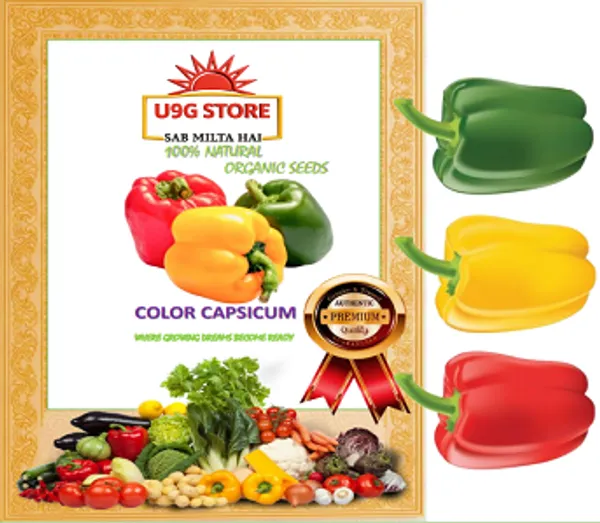 Color_Capsicum_Hybrid