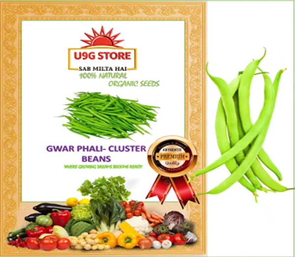 Guar_Cluster_Beans_Seeds