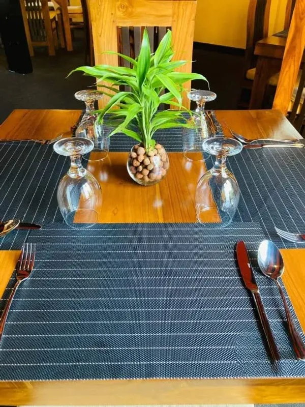 Lucky_Bamboo_Plant