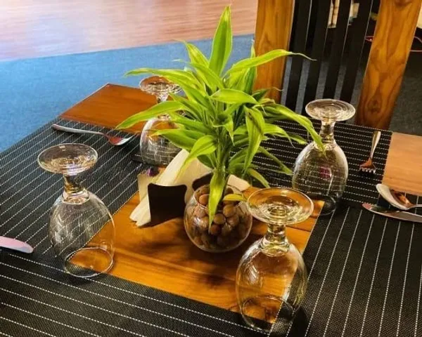 Lucky_Bamboo_Plant