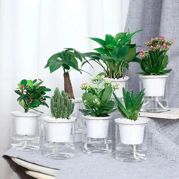 Self_Watering_Planter