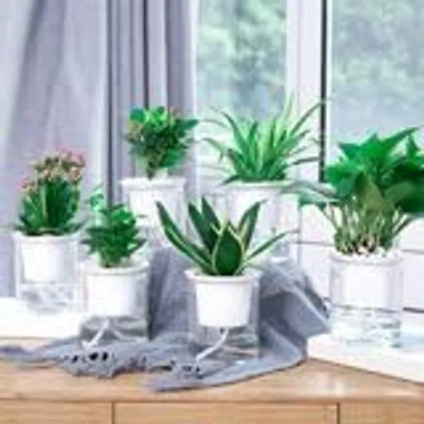 Self_Watering_Planter