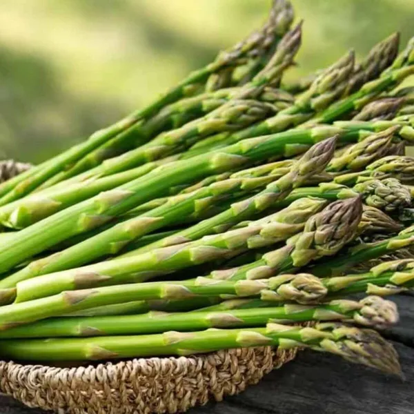 Asparagus_Seeds
