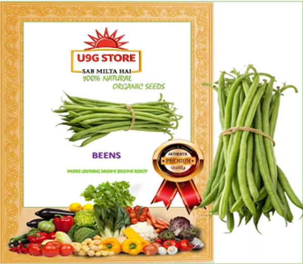 French_Beans_Seeds