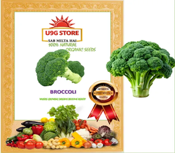 Broccoli_Hybrid