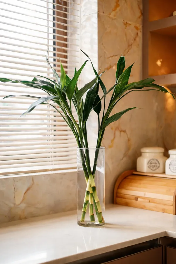 Natural_Plant_Home_And_Office_Decorationfor_Indoor_Pack_Of_4