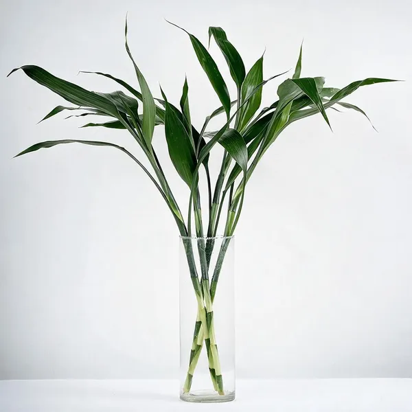 Natural_Plant_Home_And_Office_Decorationfor_Indoor_Pack_Of_4
