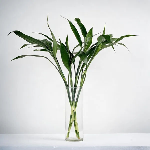 Natural_Plant_Home_And_Office_Decorationfor_Indoor_Pack_Of_4